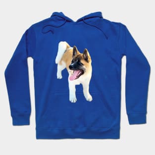 Akita Puppy Akita Inu Cute Puppy Dog Hoodie